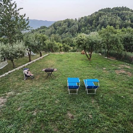 Căpăţîneni-Ungureni Vila Ellaヴィラ エクステリア 写真