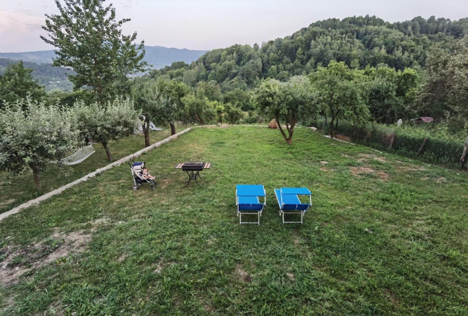 Căpăţîneni-Ungureni Vila Ellaヴィラ エクステリア 写真