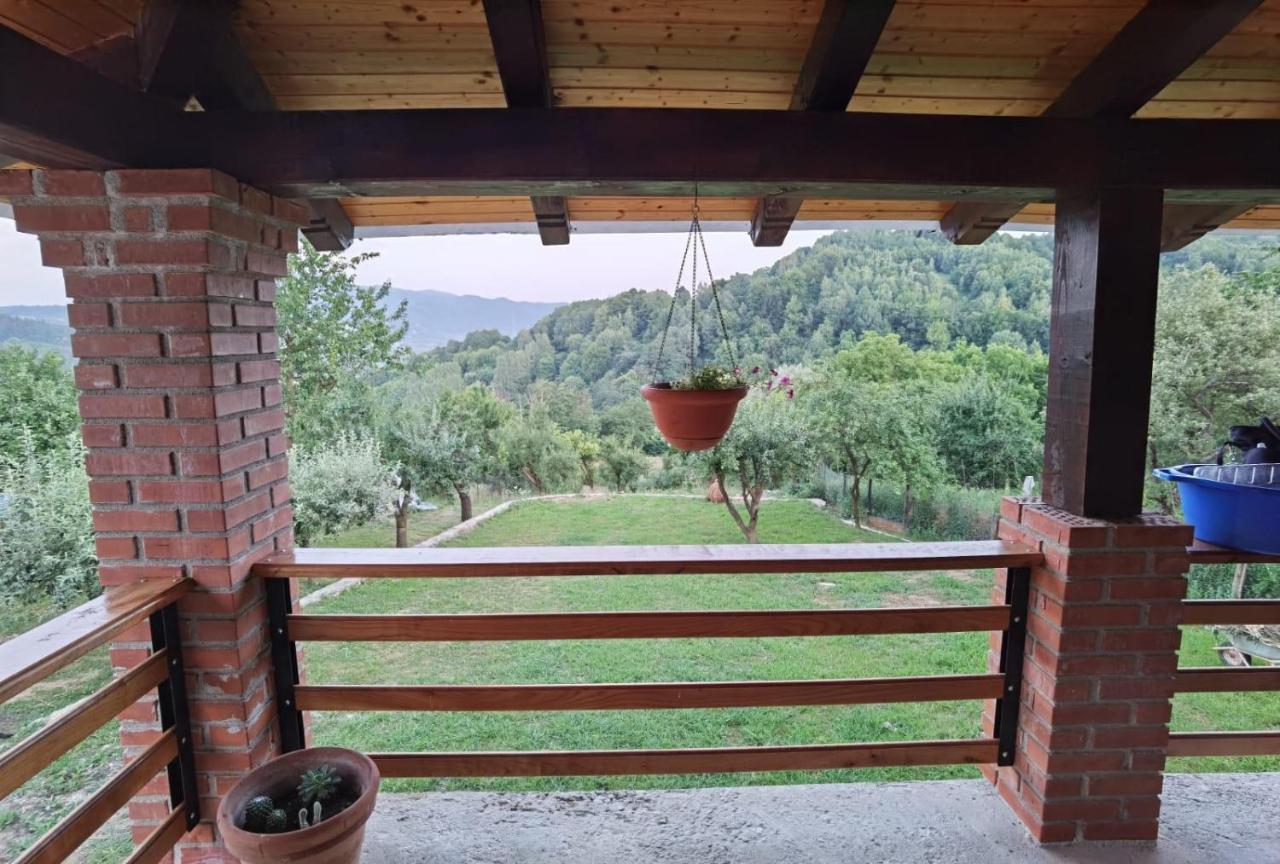 Căpăţîneni-Ungureni Vila Ellaヴィラ エクステリア 写真