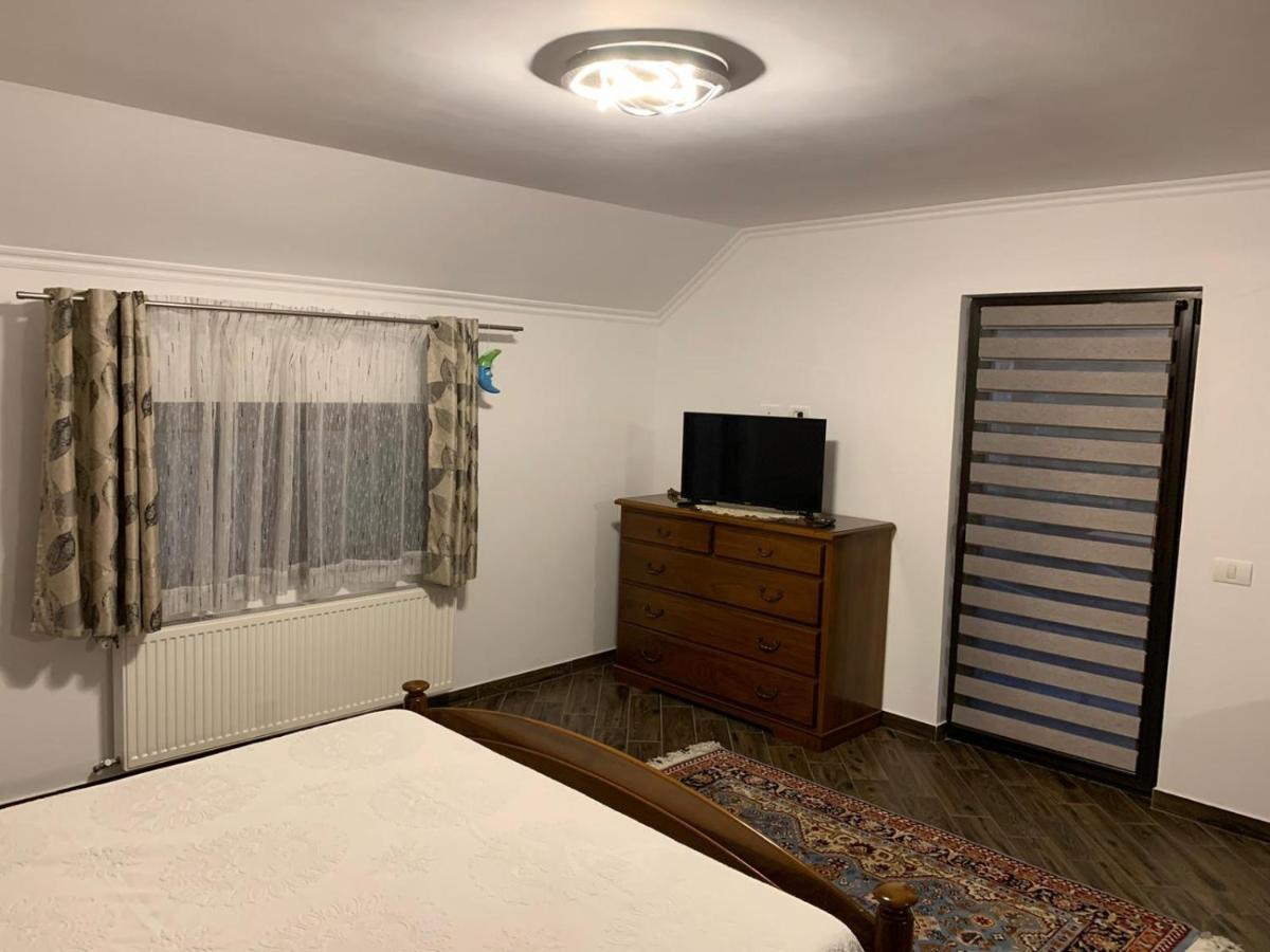 Căpăţîneni-Ungureni Vila Ellaヴィラ エクステリア 写真