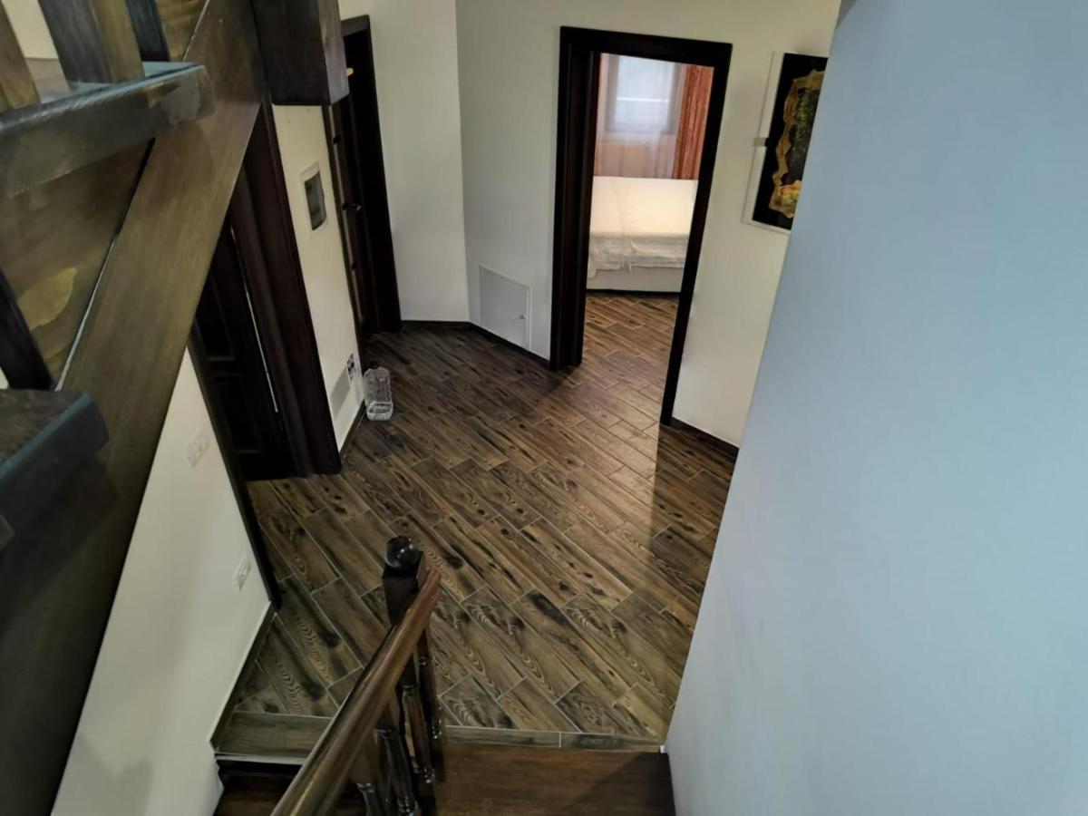 Căpăţîneni-Ungureni Vila Ellaヴィラ エクステリア 写真