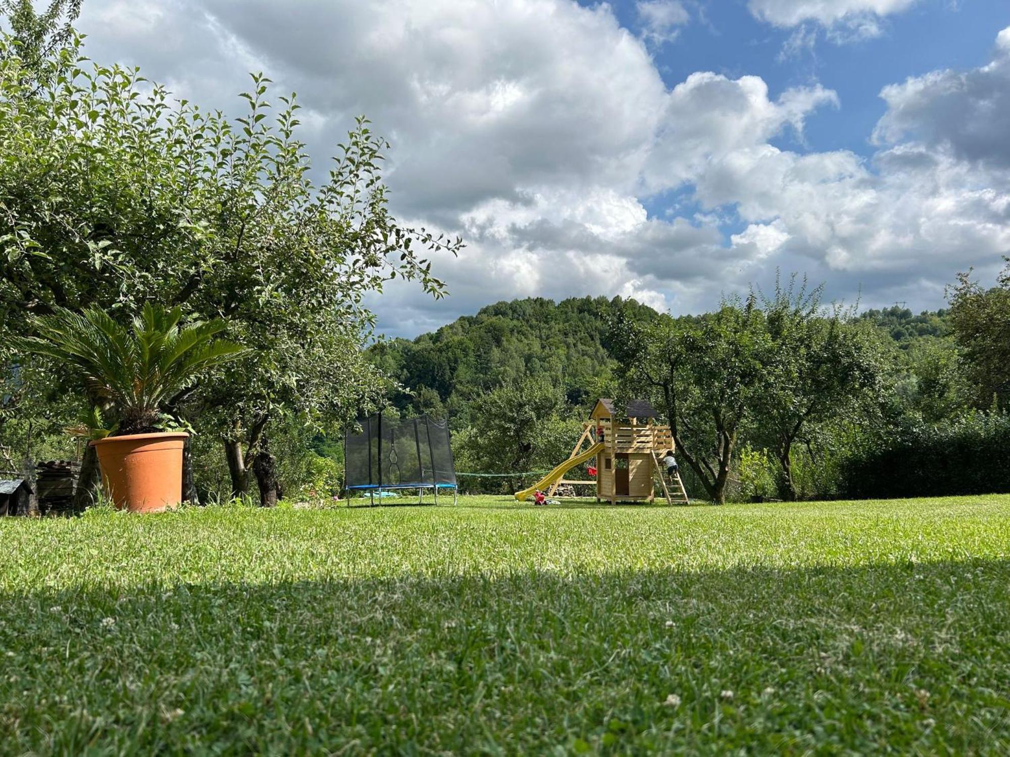Căpăţîneni-Ungureni Vila Ellaヴィラ エクステリア 写真