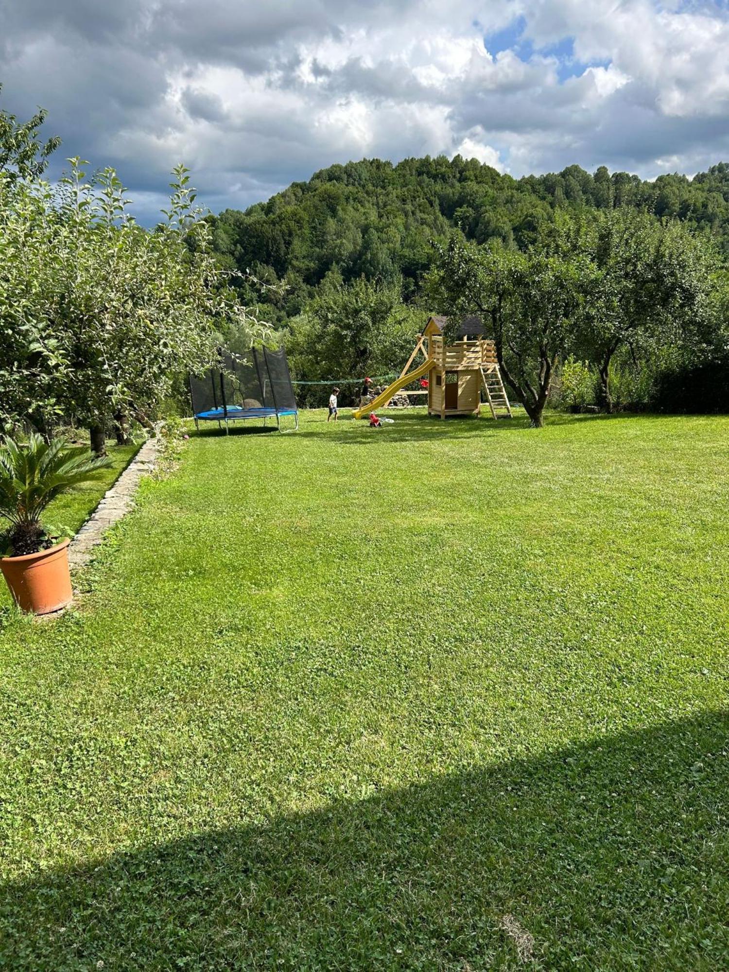 Căpăţîneni-Ungureni Vila Ellaヴィラ エクステリア 写真